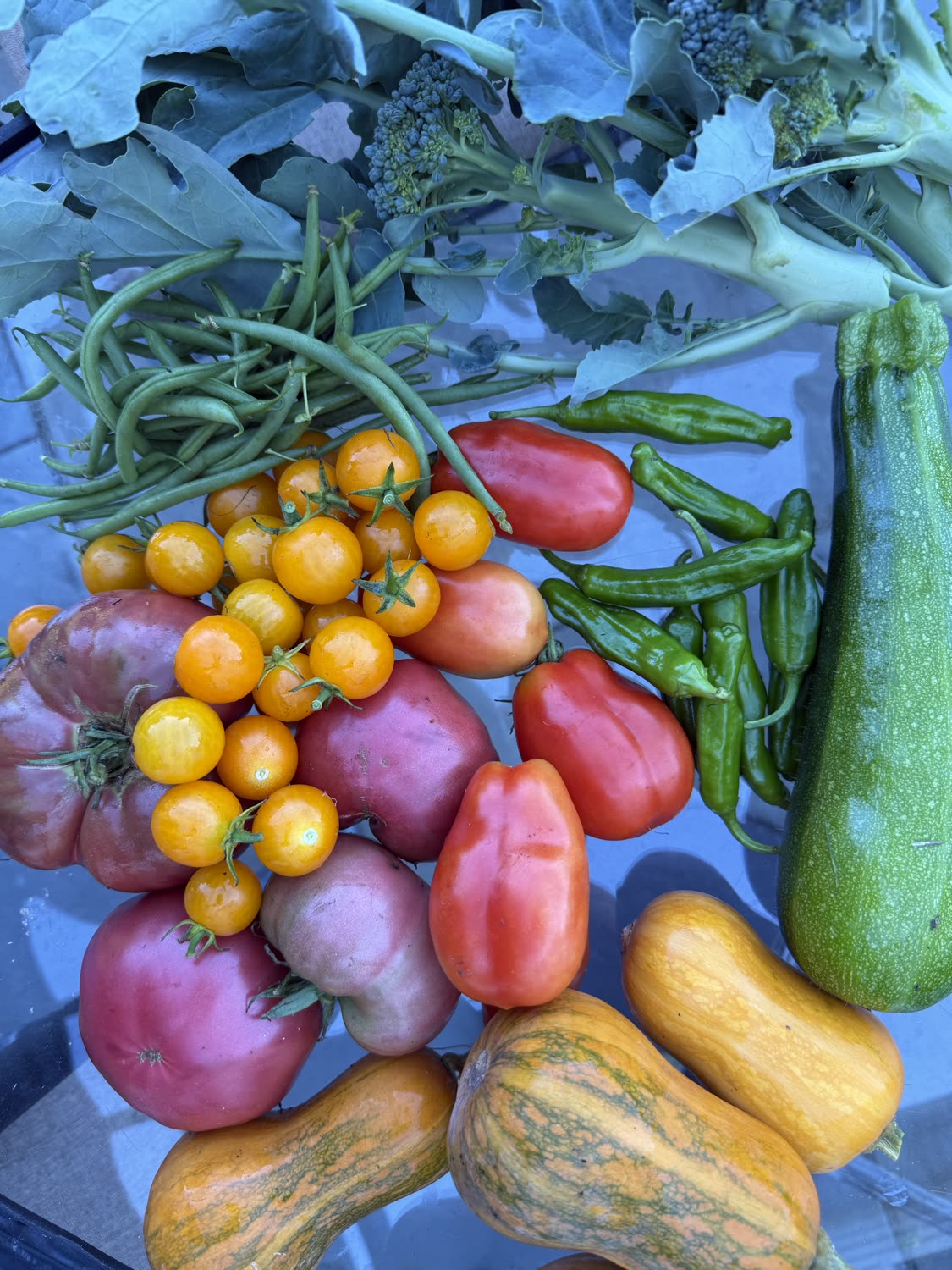 Garden photo
