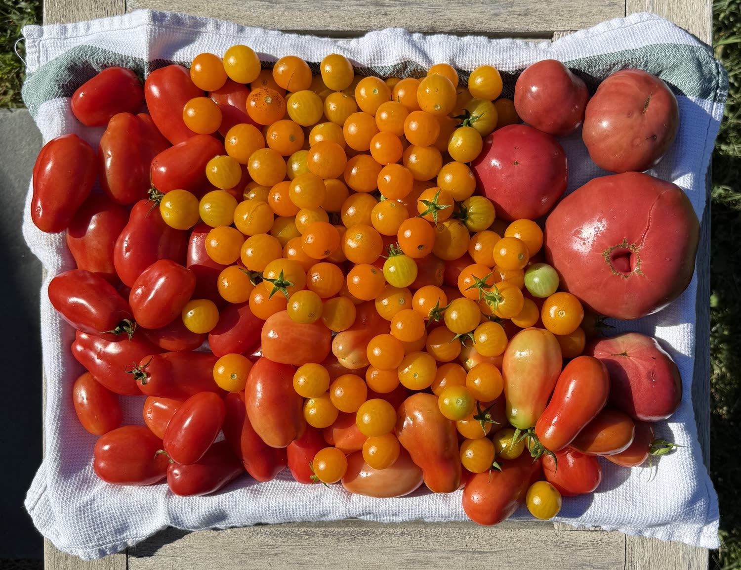 Garden photo