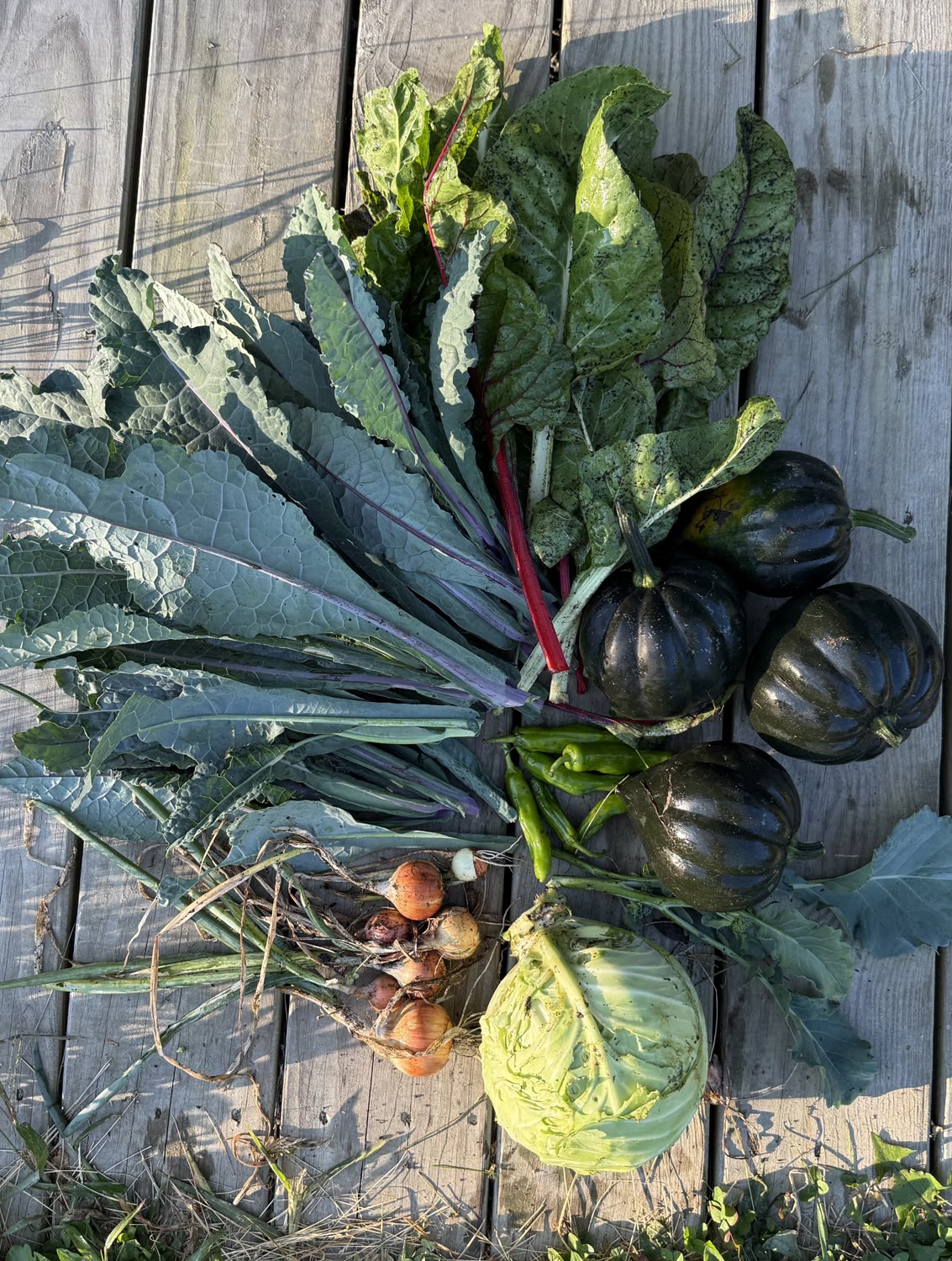 Garden photo