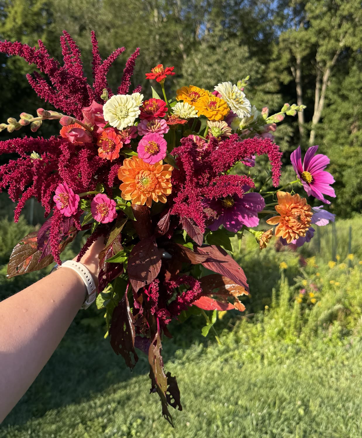 Garden photo