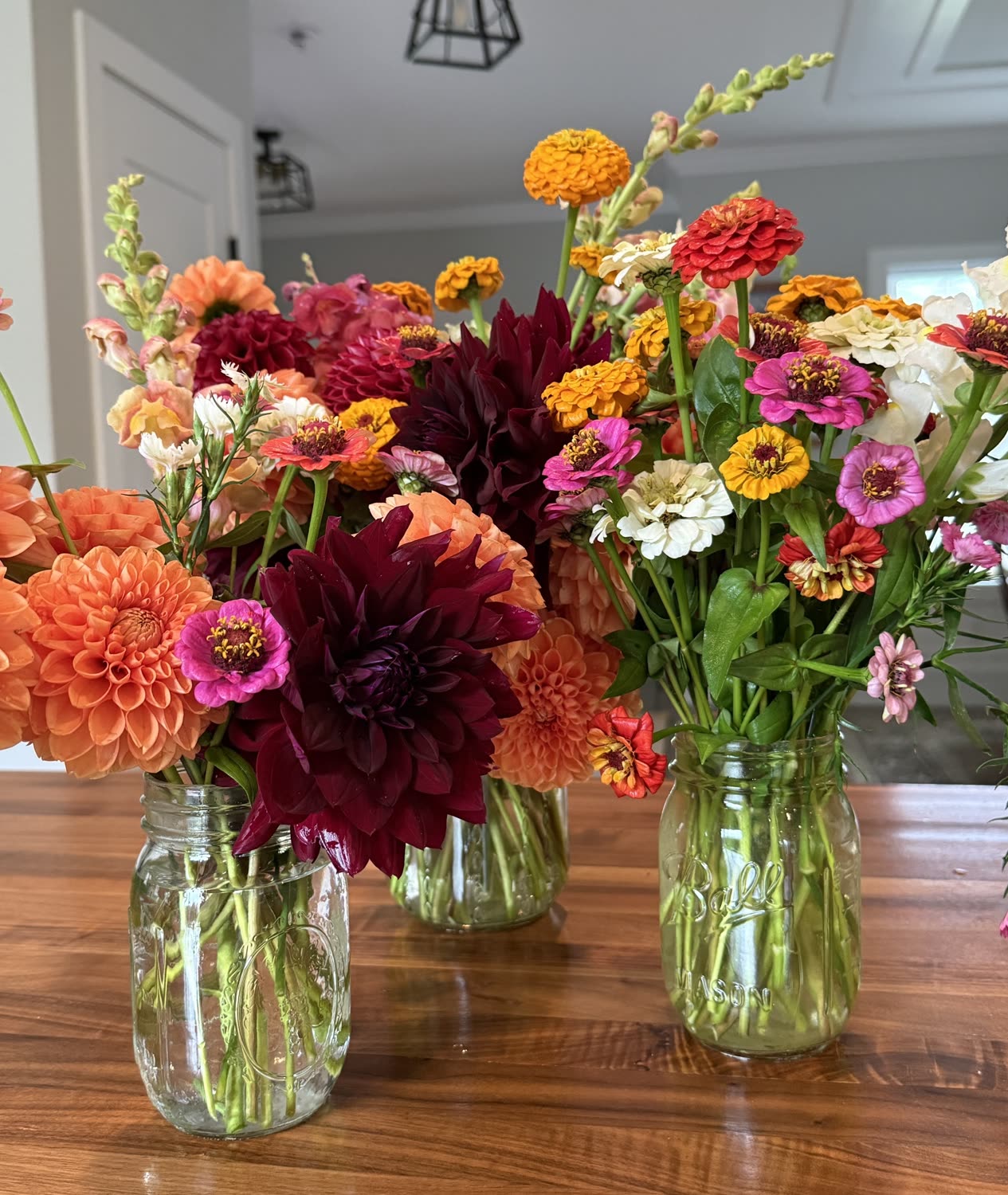 Garden photo