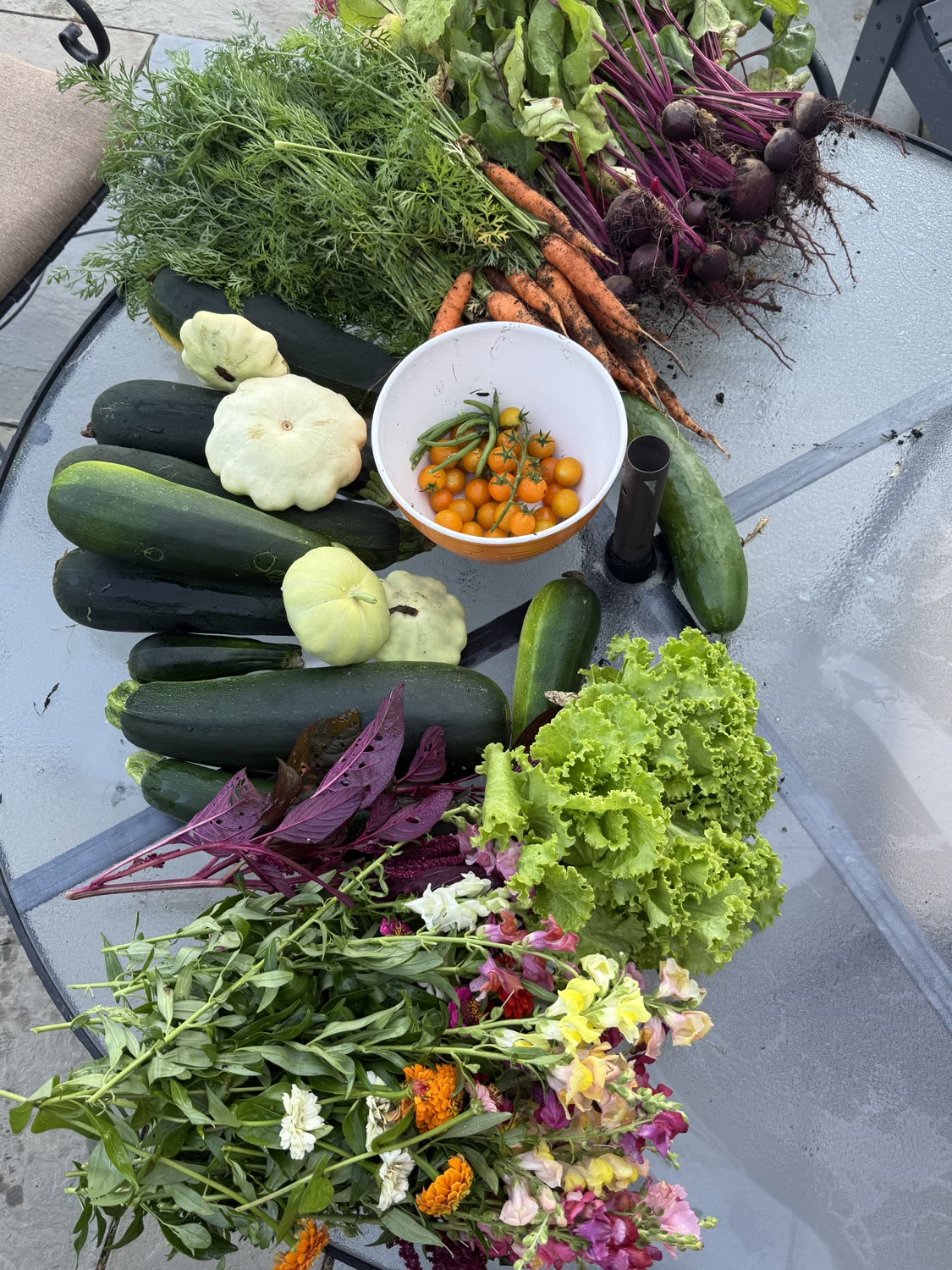 Garden photo