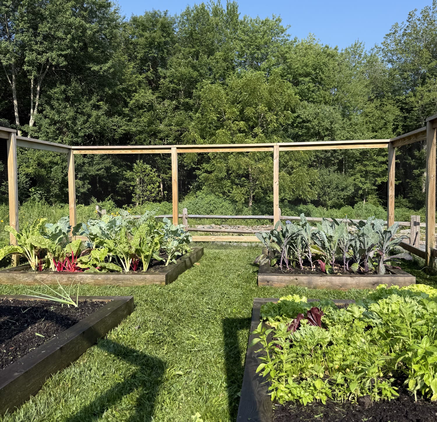 Garden photo