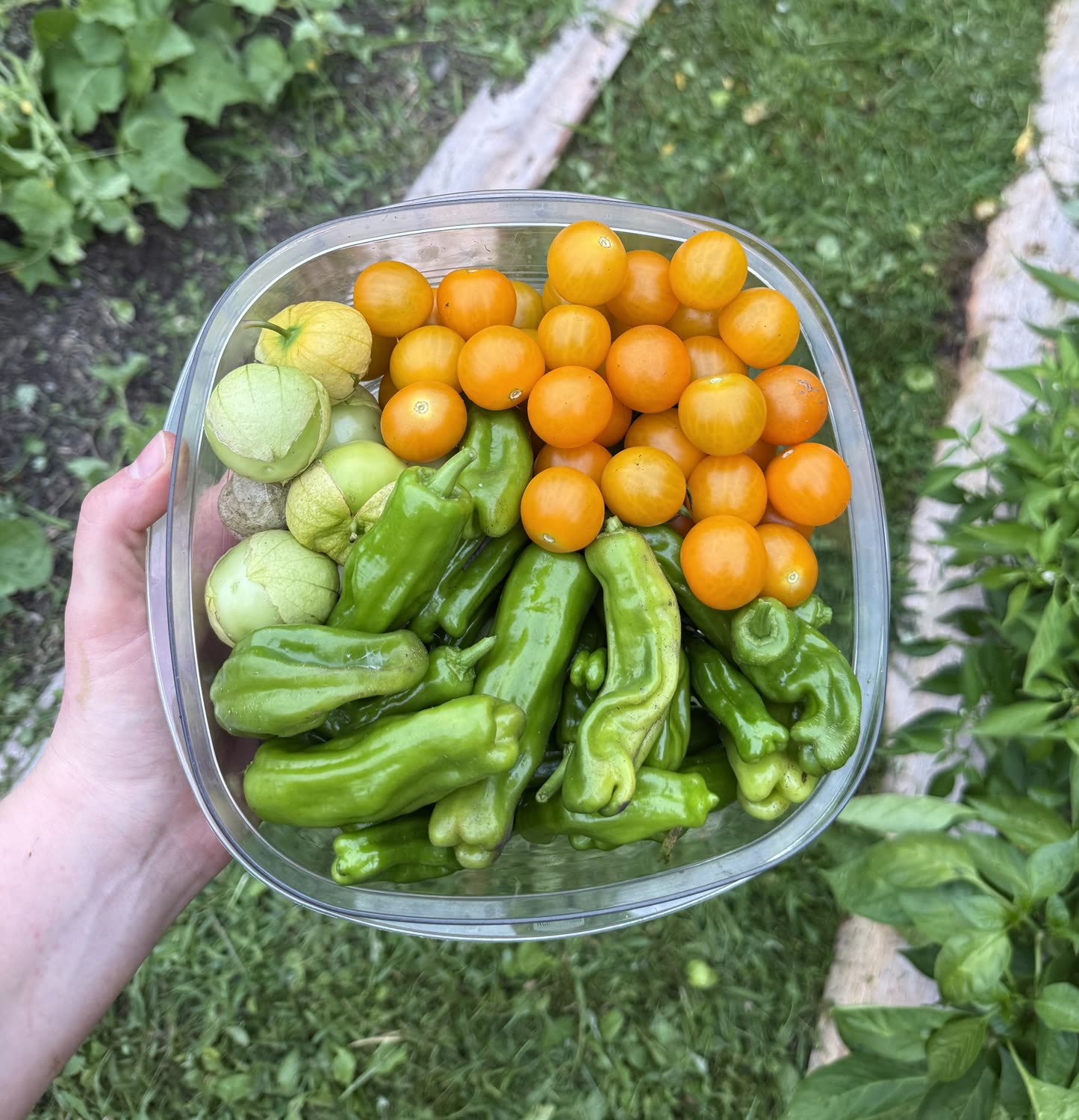 Garden photo