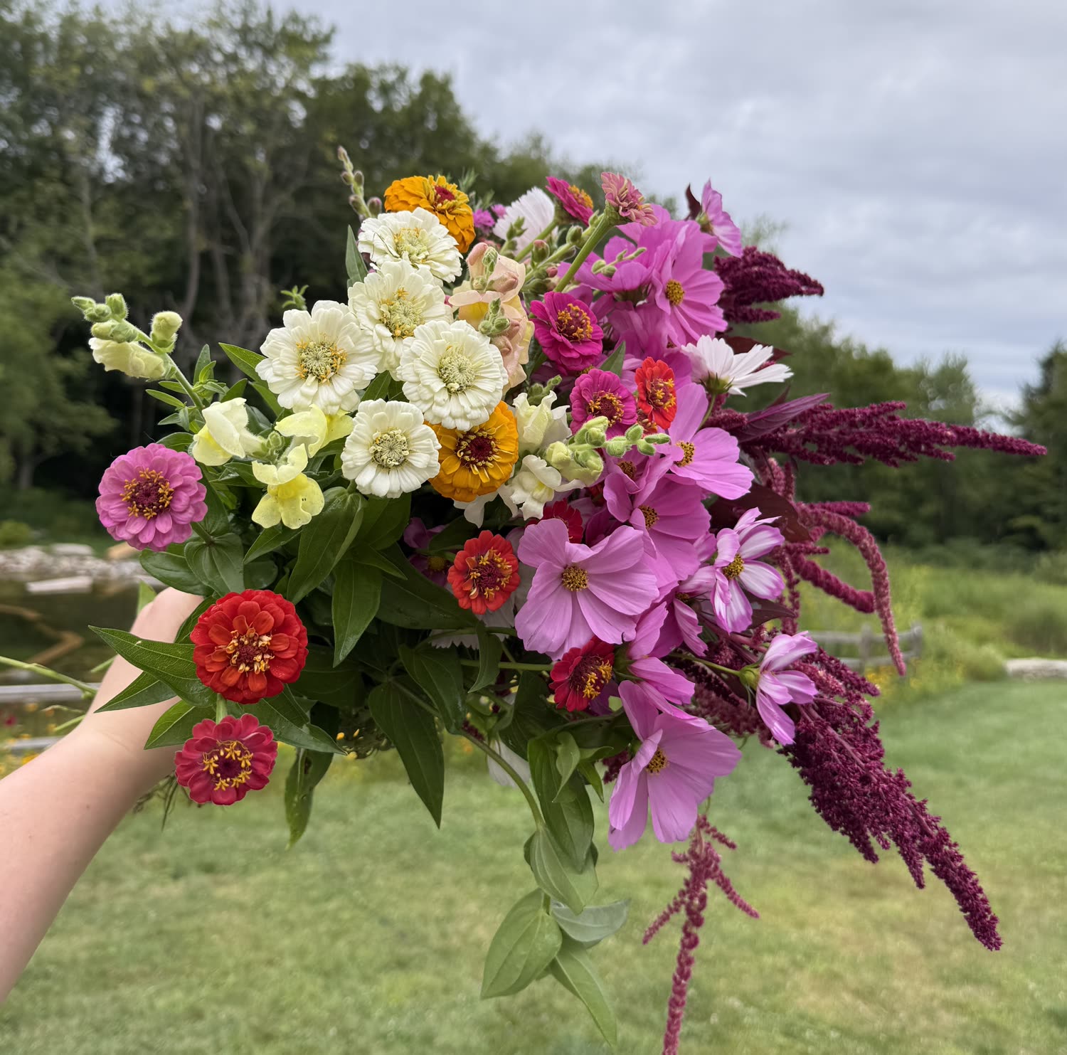 Garden photo
