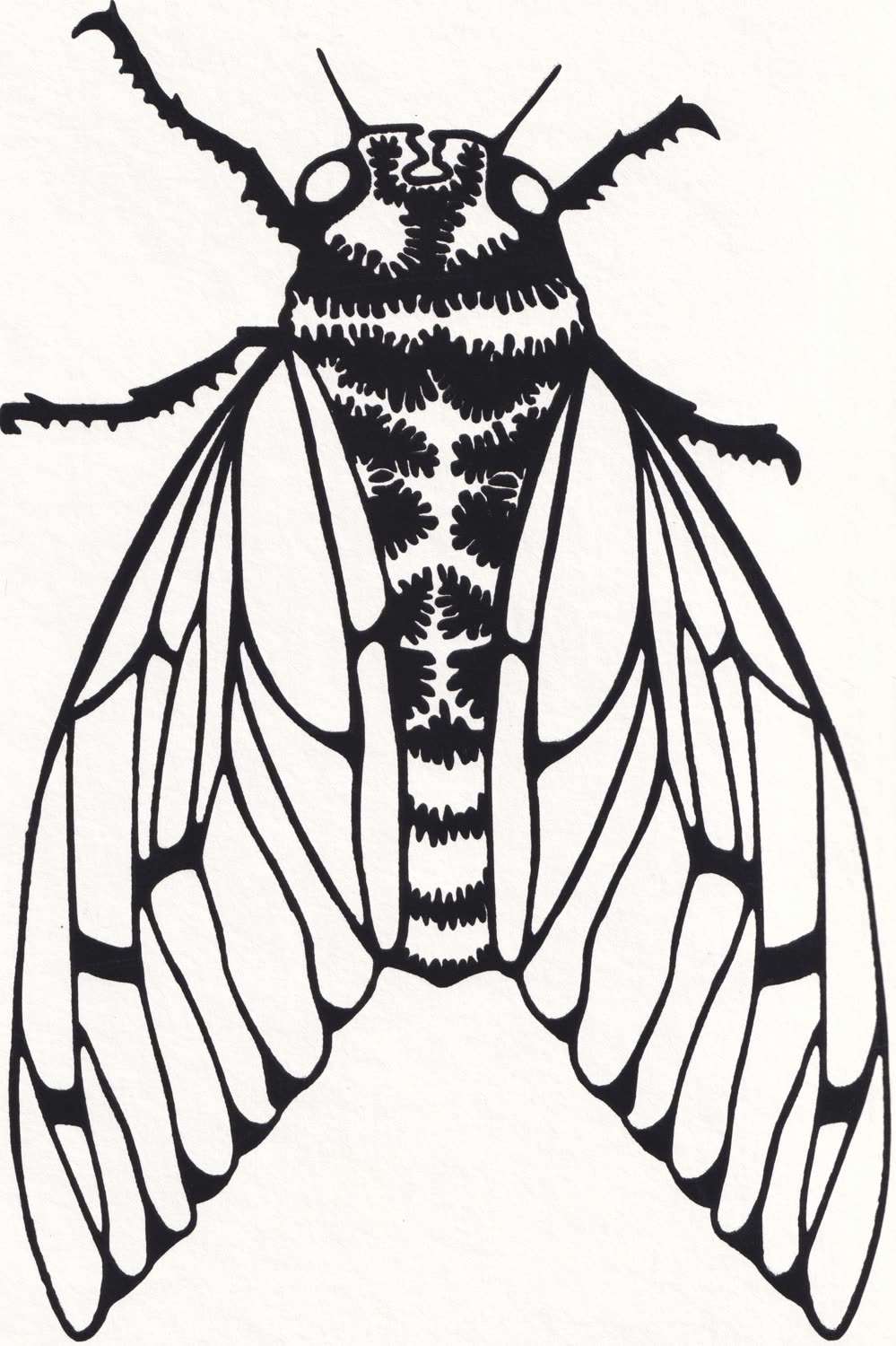 Printmaking